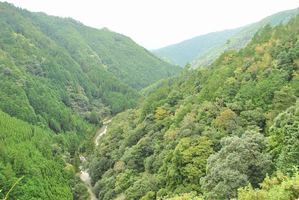 神護寺　かわらけ投げ　景色