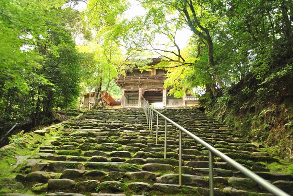 神護寺　楼門