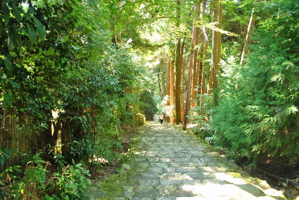 長命寺　階段