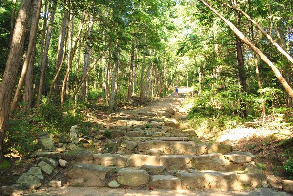 観音正寺　石段