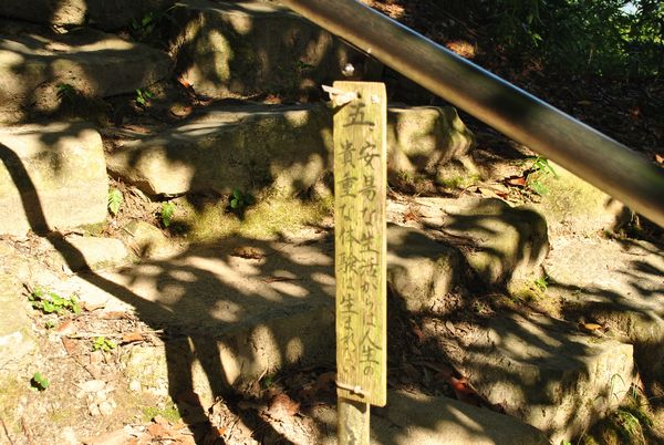 観音正寺　格言