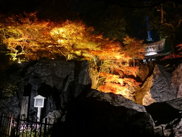 石山寺　硅灰石