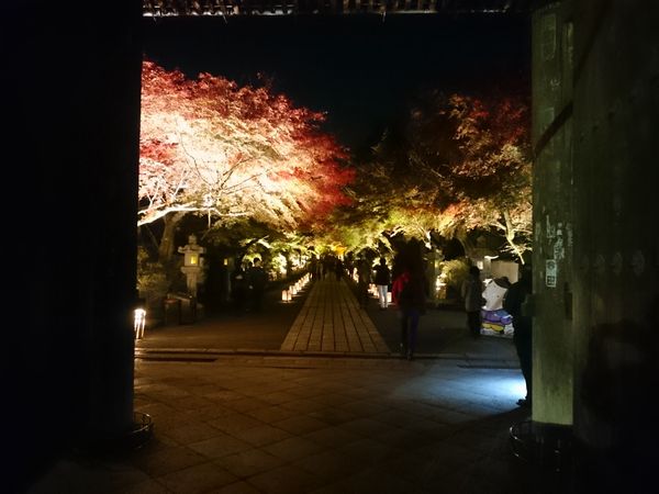 石山寺　ライトアップ