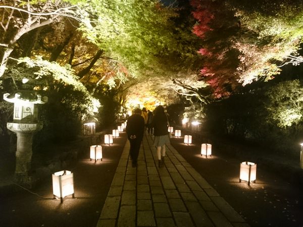 石山寺　ライトアップ