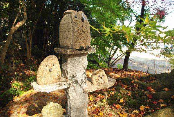 長寿寺　ふくろう