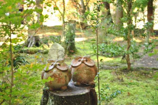 長寿寺　ふくろう