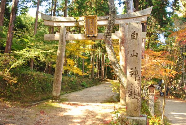 長寿寺　白山神社