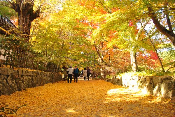 長寿寺　紅葉