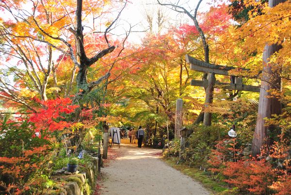 長寿寺　紅葉