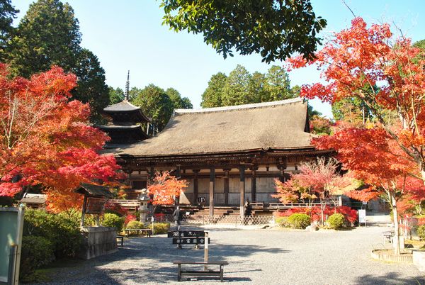 常楽寺　本堂