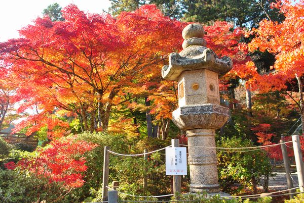 常楽寺　石灯籠