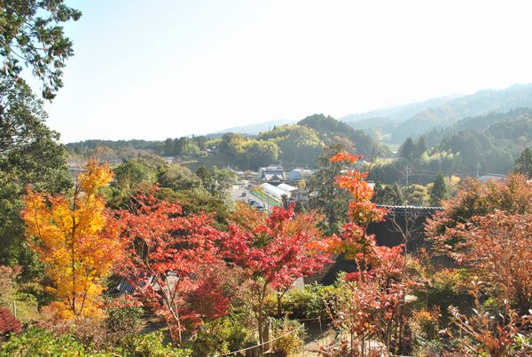 常楽寺　集落