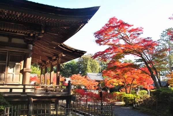 常楽寺　紅葉