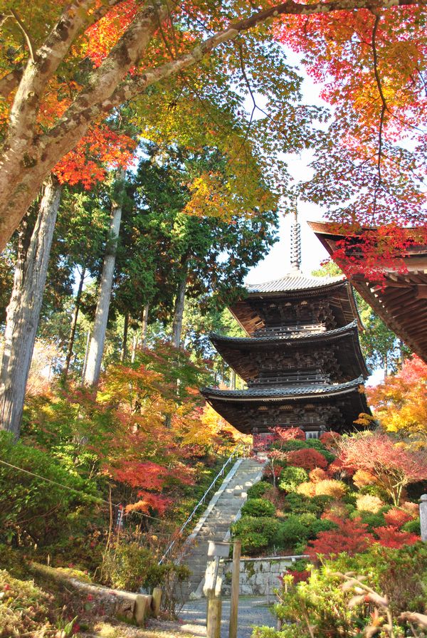 常楽寺　三重塔