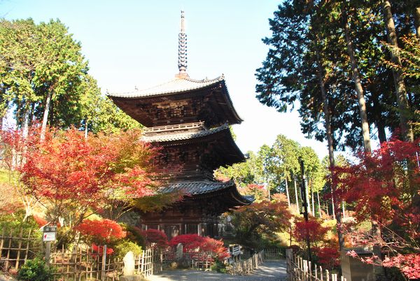 常楽寺　三重塔