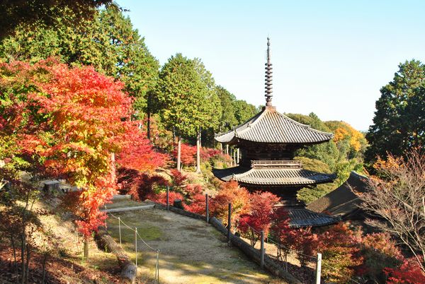 常楽寺　三重塔