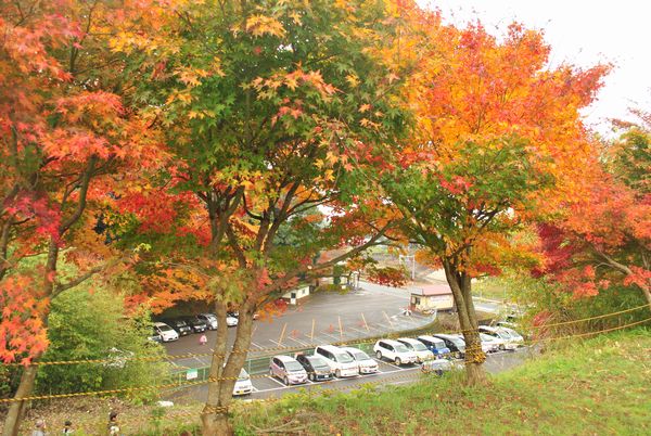 永源寺　駐車場