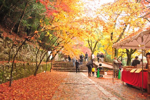 永源寺　階段