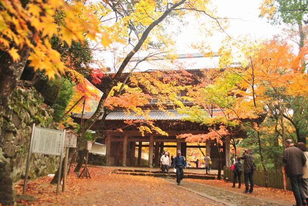 永源寺　三門