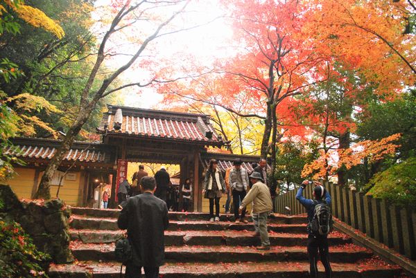 永源寺　総門