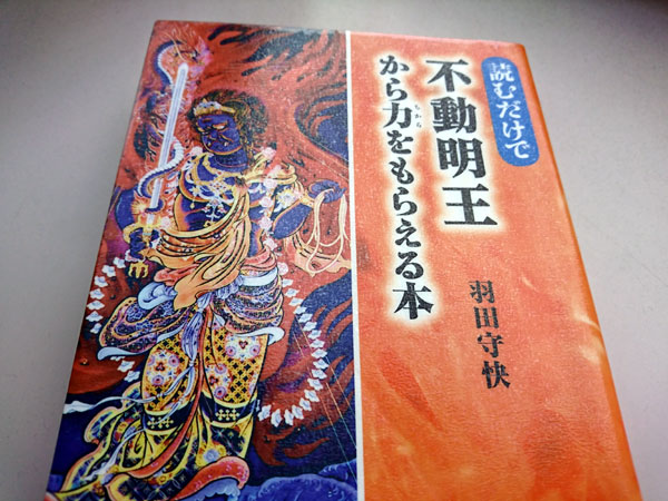 読むだけで不動明王から力をもらえる本