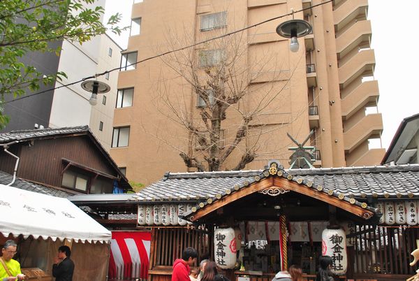 御金神社　イチョウ