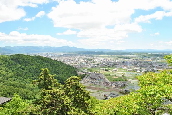 太郎坊宮　本殿　景色