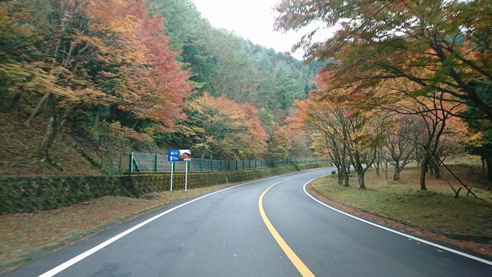 比叡山ドライブウェイ