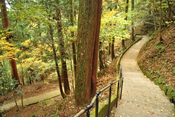 道元禅師得度霊跡