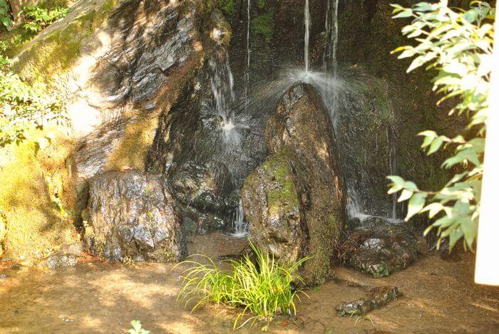 金閣寺　竜門瀑　鯉魚石