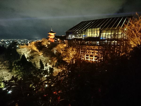 清水寺　工事中