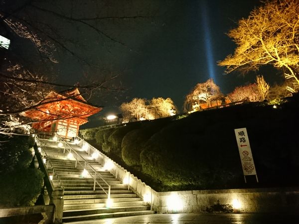 東山花灯路　清水寺