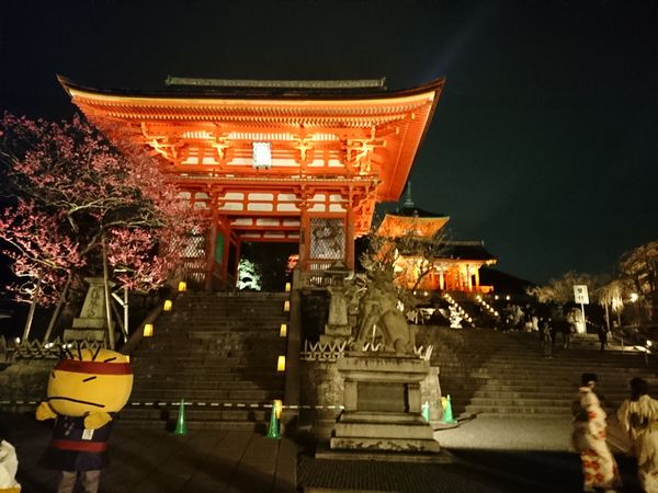 清水寺　ライトアップ