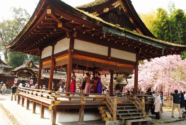 平野神社　桜コンサート