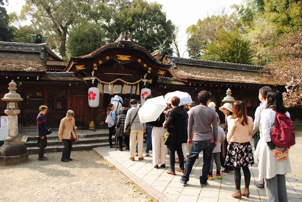 平野神社　本殿参拝