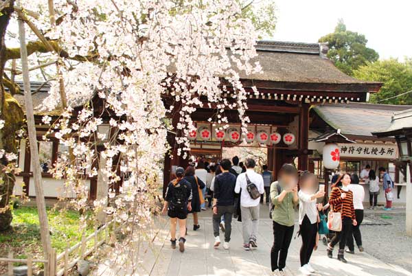 平野神社　魁桜