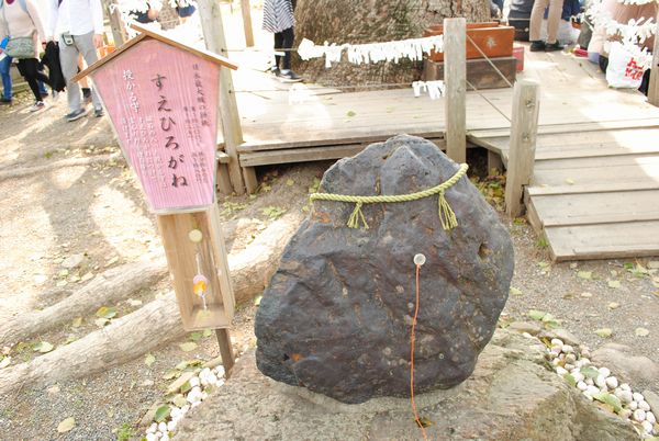 平野神社　すえひろがね