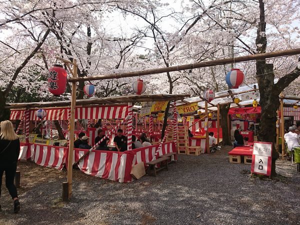 花見茶屋　遊楽