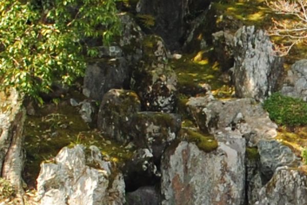 天龍寺　竜門瀑　鯉魚石