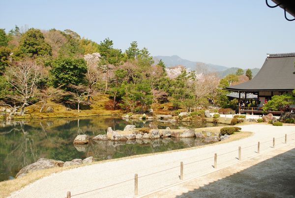 天龍寺　曹源池庭園