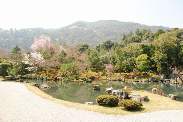 天龍寺　曹源池庭園　嵐山　亀山