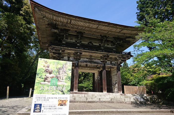 三井寺　あお若葉の競演