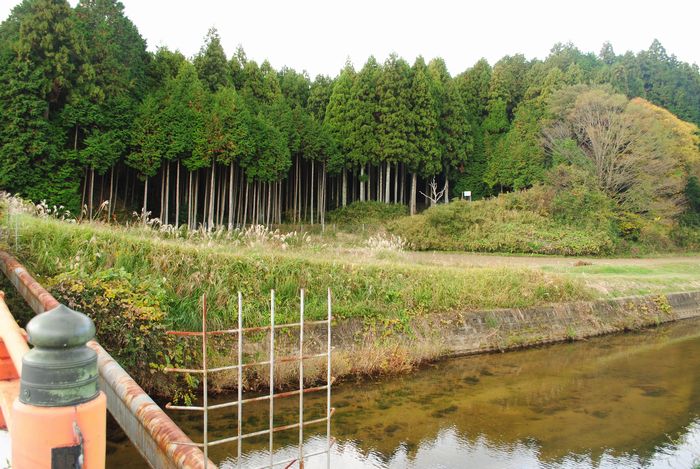 櫟野川