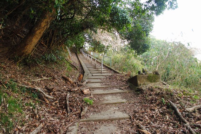 笠置山　東海自然歩道