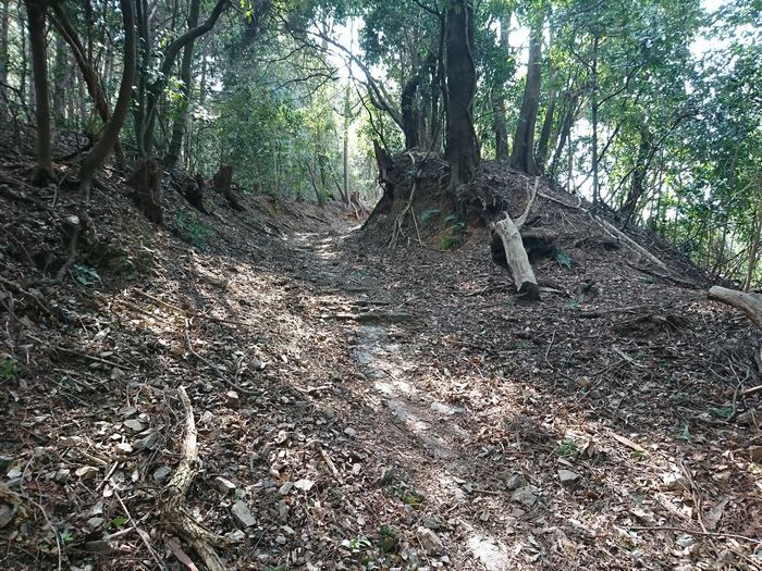 笠置山　東海自然道