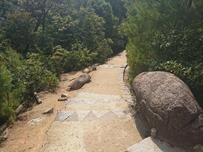 弥山　登山道