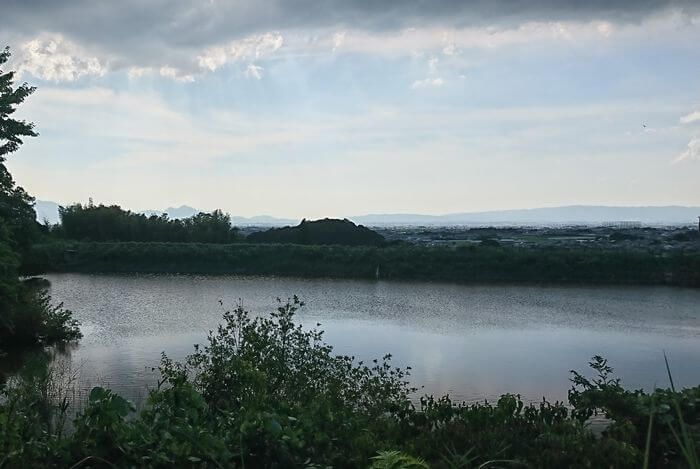 井寺池　景色