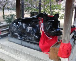 北野天満宮　牛