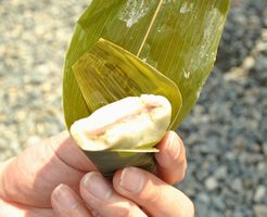 麸嘉　麩まんじゅう