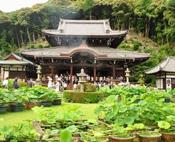 三室戸寺